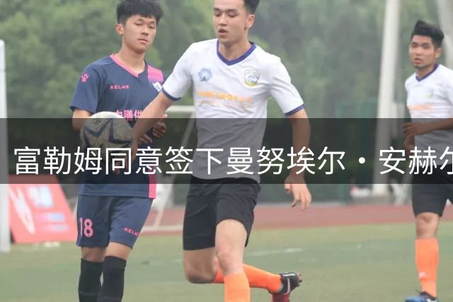 富勒姆同意签下曼努埃尔·安赫尔与雨果·拉尔森，中场重建逐步成形