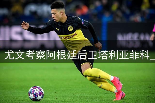 尤文考察阿根廷后卫塔利亚菲科 是否引援取决于队内变动